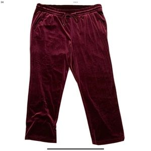 Torrid Burgundy Velour Pants Stretch Velvet Pull On Elastic Waist
Size 18/20